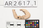 matau, fishhook tab, AR2617.1, Photographed by Richard Ng, digital, 17 Apr 2018, © Auckland Museum CC BY