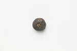 bead, 1926.137, 10297, Photographed by Richard Ng, digital, 20 Dec 2018, © Auckland Museum CC BY