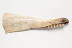 bone, whale jaw, 1938.16, col.0597.2, 23655.2, Mar.310, © Auckland Museum CC BY