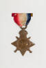 medal, campaign, 1948.79, N1256, W1154.2, S143, Photographed by: Rohan Mills, photographer, digital, 19 Dec 2016, © Auckland Museum CC BY