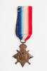 medal, campaign, 1971.55, N1475, Photographed by: Rohan Mills, photographer, digital, 21 Dec 2016, © Auckland Museum CC BY