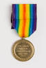 medal, campaign, N1876, Photographed by Rohan Mills, digital, 25 Jan 2017, © Auckland Museum CC BY