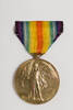 medal, campaign, 1973.5, N1565, N1573.3, Photographed by: Rohan Mills, photographer, digital, 29 Dec 2016, © Auckland Museum CC BY