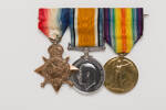 medal, campaign, 1973.5, N1565, N1573.3, Photographed by: Rohan Mills, photographer, digital, 29 Dec 2016, © Auckland Museum CC BY