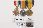 medal, campaign, 1973.5, N1565, N1573.3, Photographed by: Rohan Mills, photographer, digital, 29 Dec 2016, © Auckland Museum CC BY