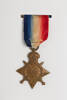 medal, campaign, N1575.1, Photographed by: Rohan Mills, photographer, digital, 30 Dec 2016, © Auckland Museum CC BY