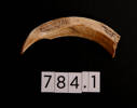 tusks, 784