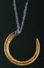 pig's tusk neck pendant