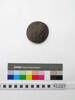 coconut shell disc; 41237a