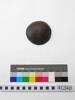 coconut shell disc; 41240a