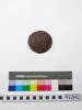 coconut shell disc; 41242a