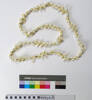 necklace; shell; 49914.6