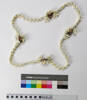 necklace; shell; 49916