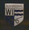 Rosehill CWI banner - detail badge [1995.113.1]