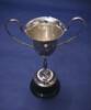 1995.113.4 Dorothy Taylor Trophy Rosehill CWI - front view