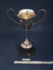 1995.113.4 Dorothy Taylor Trophy Rosehill CWI - ruler view