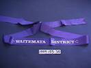 prize ribbon, Waitemata District [1999.155.34]