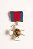 Distinguished Service Order 2001.25.129