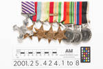 Distinguished Flying Cross 2001.25.424.1