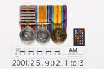 British War Medal 1914-20 2001.25.902.2