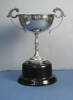 tropy cup [2002.62.1]