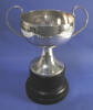 trophy cup [2003.53]