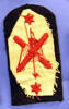 badge - reverse [2005.91.9]