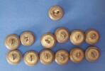 22nd (Cheshire) Regiment buttons, WW2 [2007.78.36] - rear view