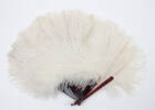 fan, ostrich feather