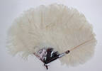 fan, ostrich feather