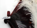 fan, ostrich feather