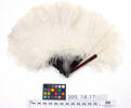 fan, ostrich feather