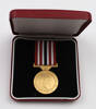 New Zealand 1990 Commemoration Medal 2014.7.7
