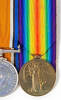 medal, campaign victory medal