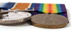 medal, campaign, victory medal