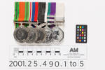 Defence Medal 1939-1945, 2001.25.490.1