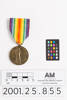 Victory Medal 1914-19, 2001.25.855