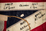 flag, 1965.14, F012, W1766