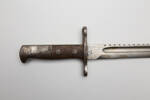 bayonet and scabbard W2521