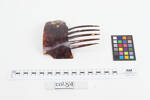 comb, hair col.0054