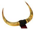 scrimshaw bullock horns [col.0361]