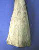 whale jaw bone - detail of scrimshaw design [col.0597.1]