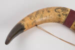 horn, scrimshaw col.1349