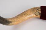 horns, scrimshaw col.1393