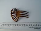 comb, hair (2) [col.2598] ruler view