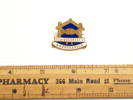 badge, membership [col.2931] ruler view