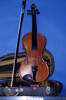 violin [col.3279]