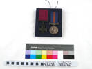 medal, campaign N1252