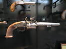 w0100 revolver
