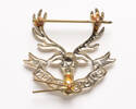 badge, regimental W1198.19